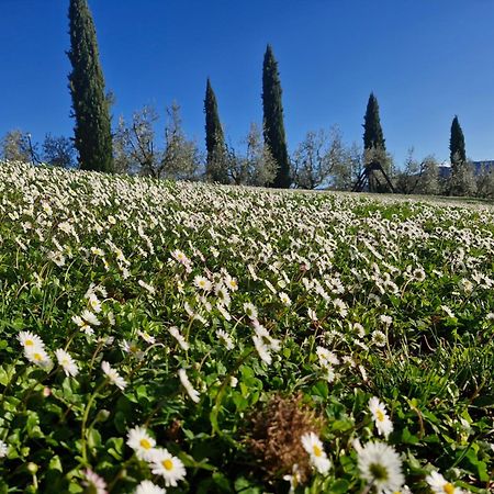 Agriturismo Val della Pieve Anghiari Exterior foto