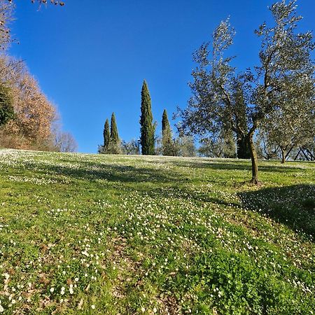 Agriturismo Val della Pieve Anghiari Exterior foto