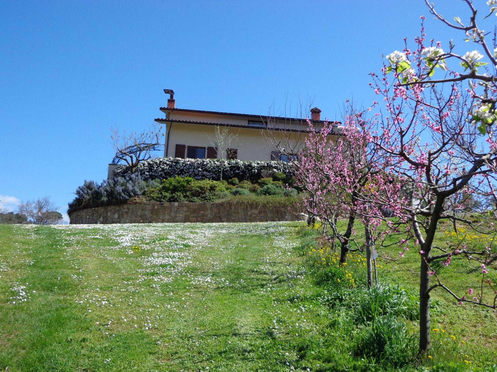 Agriturismo Val della Pieve Anghiari Exterior foto
