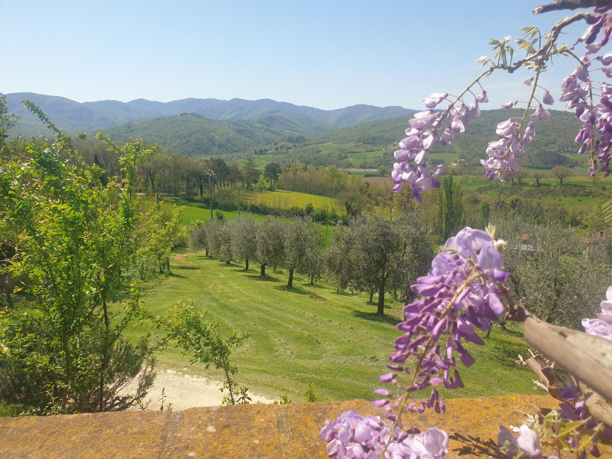 Agriturismo Val della Pieve Anghiari Exterior foto