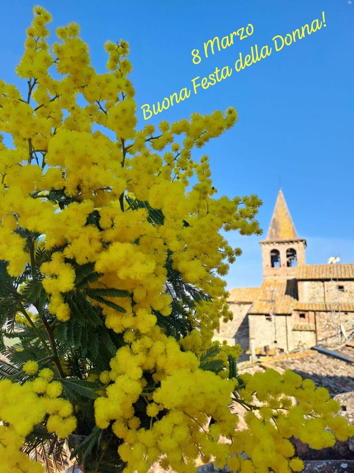 Agriturismo Val della Pieve Anghiari Exterior foto