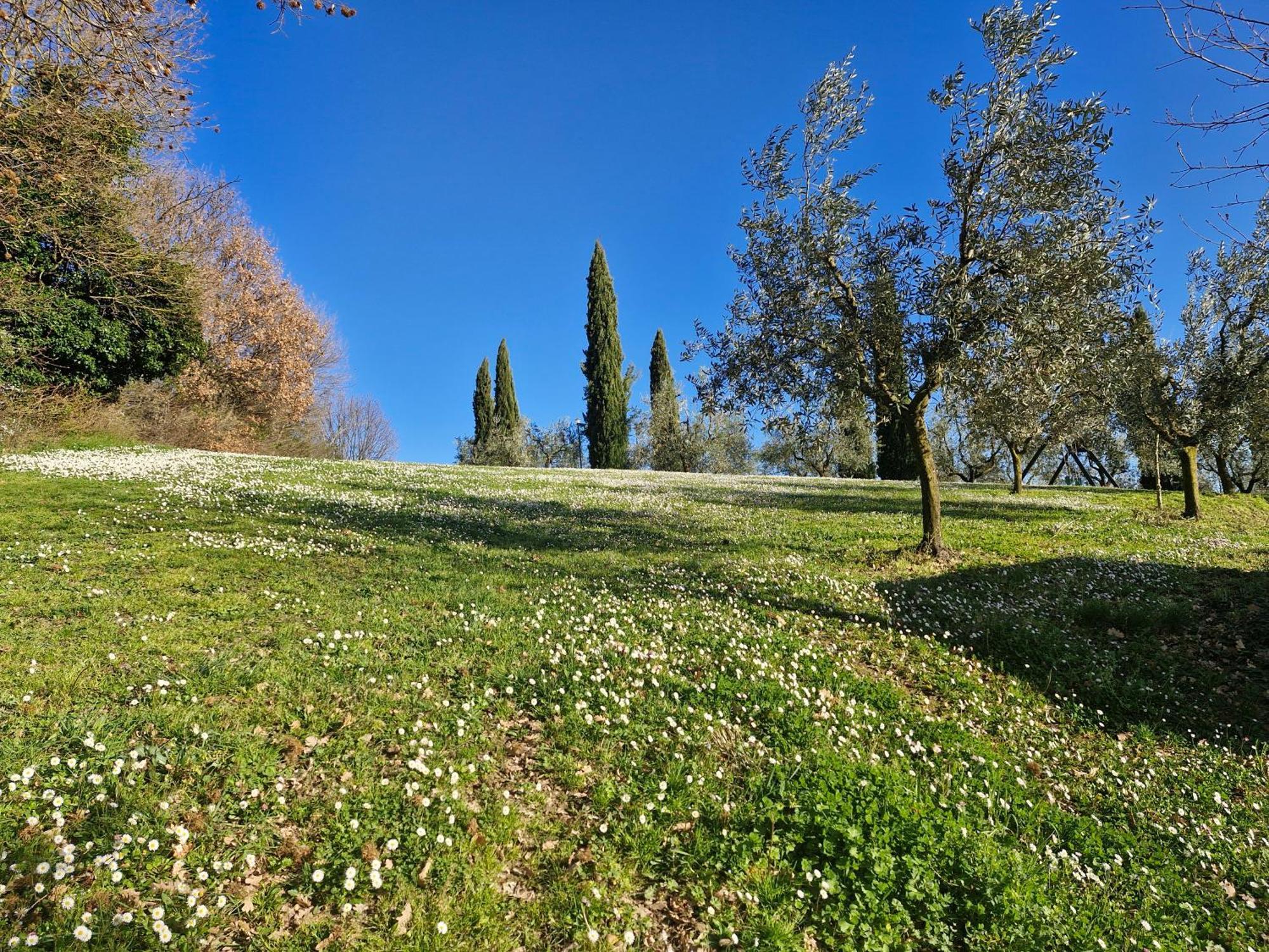 Agriturismo Val della Pieve Anghiari Exterior foto